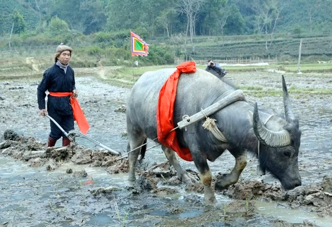 Festival “Long tong”: rasgo particular de la minoría Tay en Vietnam ảnh 1