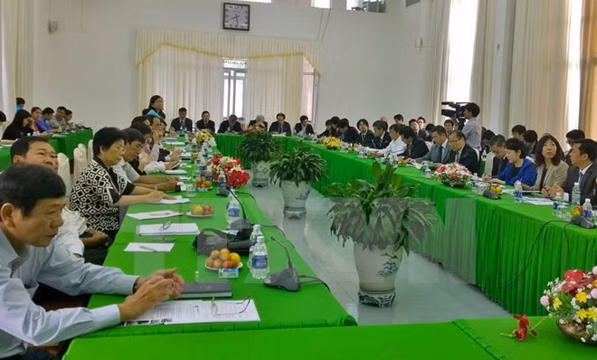 Japón desea cooperar con localidad vietnamita en desarrollo agrícola ảnh 1