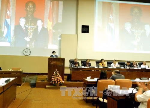 Cooperación con Vietnam mejora rendimientos arroceros de Cuba ảnh 1