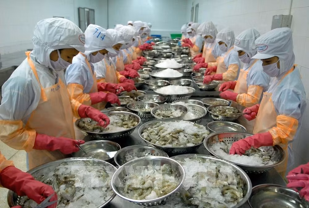 Economía de Vietnam en 2020 muestra capacidad de autonomía ảnh 2