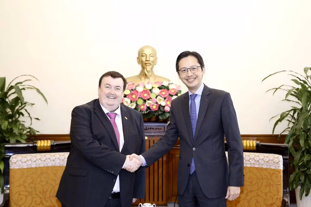 Fomentan coordinación entre Ministerios de Relaciones Exteriores de Vietnam e Irlanda ảnh 1