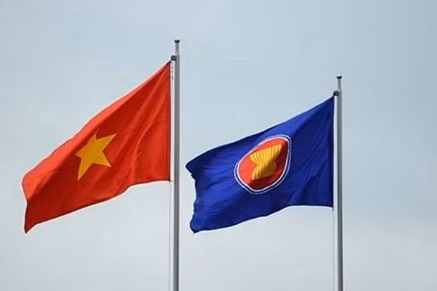 Vietnam es miembro responsable y activo de ASEAN, destaca portavoz adjunta ảnh 1