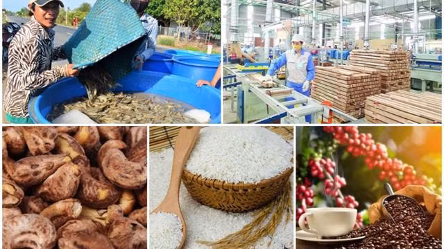Experimenta Vietnam señales alentadores de exportaciones en siete meses ảnh 1