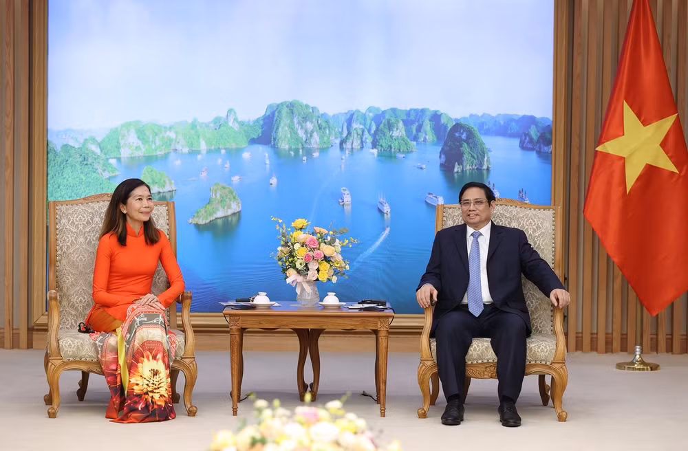  Primer ministro de Vietnam recibe a nueva coordinadora residente de ONU ảnh 2