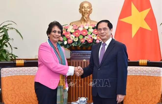 Canciller vietnamita recibe a la directora regional del PNUD para Asia-Pacífico ảnh 1