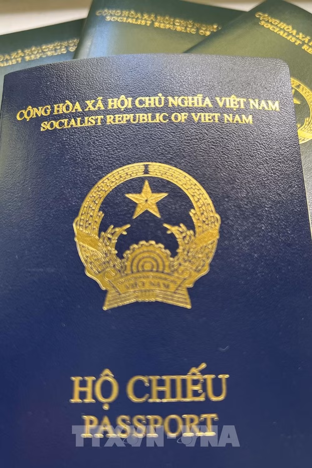 Garantizan derechos de vietnamitas ante problema relativo al nuevo pasaporte ảnh 2