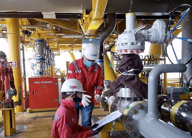 PetroVietnam expande su negocio a Medio Oriente ảnh 1