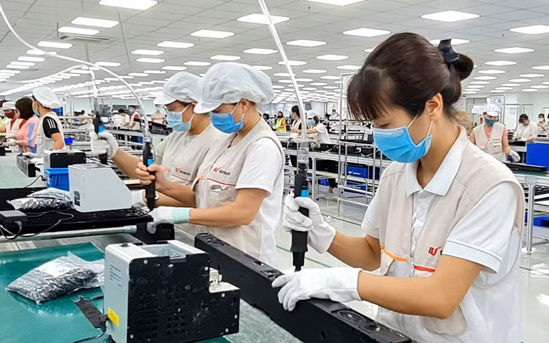 Ciudad vietnamita promueve conexión de inversiones con socios japoneses ảnh 1