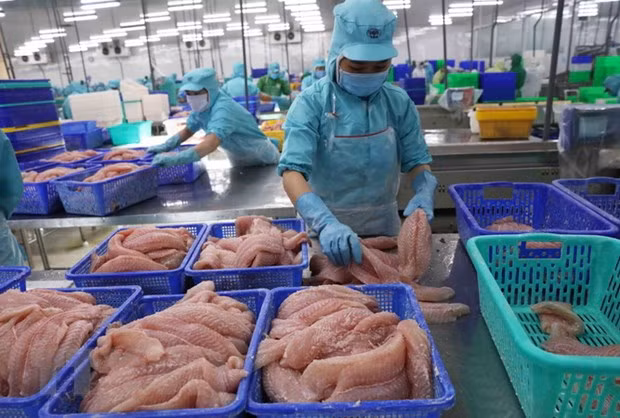 Exportaciones acuáticas vietnamitas en segundo trimestre suben 36 por ciento ảnh 1