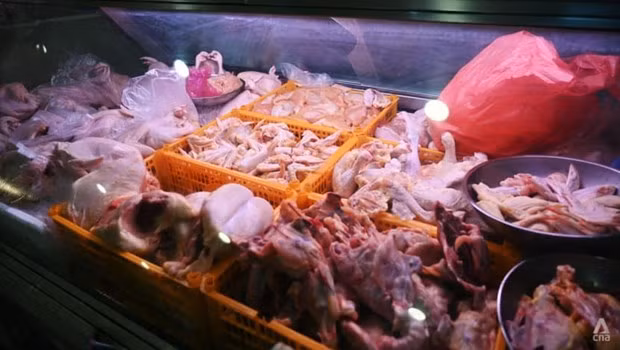 Indonesia pronto exportará pollo a Singapur ảnh 1