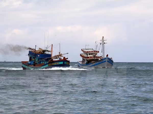 Isla de Phu Quy fue reconocida como nueva zona rural ảnh 1