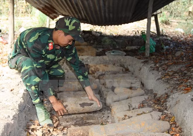 Aumentan cooperación internacional en apoyo a víctimas de bombas en Vietnam ảnh 1