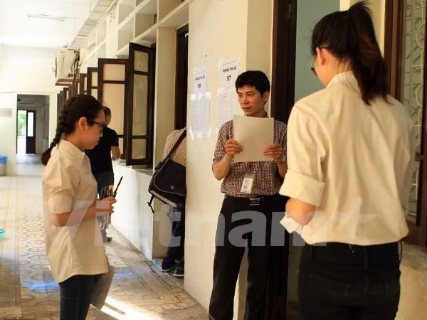 Arrancan Vietnam y UE proyecto de empleos para estudiantes ảnh 1