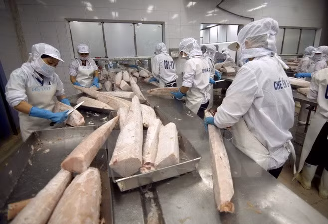 Sector manufacturero de Vietnam reporta mayor crecimiento en últimos 18 meses ảnh 1