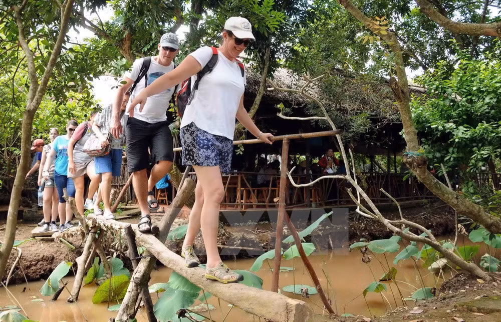Diez eventos más destacados de Vietnam en 2016 ảnh 8