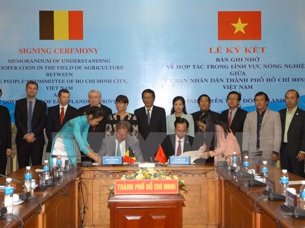 Ciudad Ho Chi Minh y la región belga de Flandes Oriental cooperan en el sector agrícola ảnh 1