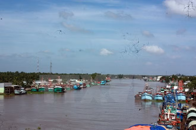 Rescatan a pescadores vietnamitas accidentados en el mar ảnh 1