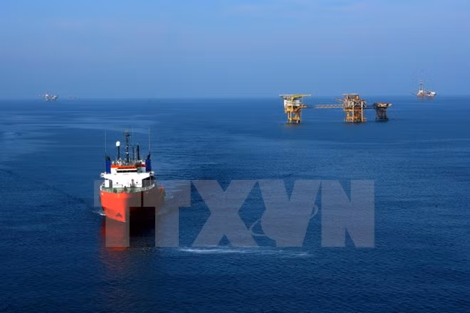 Sector petrolero de Vietnam conmemora aniversario 55 de fundación ảnh 1