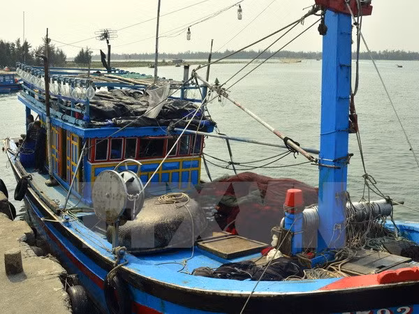 Rescatan a pescador filipino accidentado en el mar de Vietnam ảnh 1