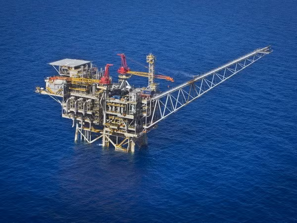 Empresa petrolera de Vietnam impulsa el suministro de servicios en extranjero ảnh 1