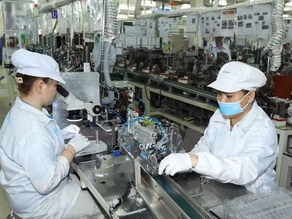 Grandes empresas de Suecia buscan oportunidades de cooperación en Vietnam ảnh 1