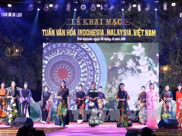 Inauguran Semana de Cultura Malasia- Indonesia- Vietnam ảnh 1