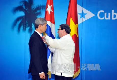 Cuba confiere medalla de la Amistad al embajador vietnamita ảnh 1