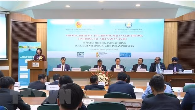 Provincia de Dong Nai busca impulsar vínculos comerciales con India ảnh 1