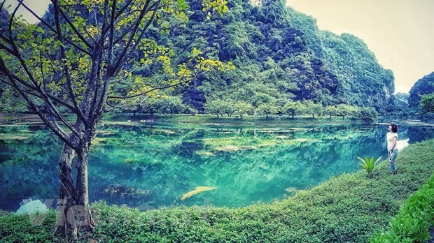 Destinos atractivos en la provincia norvietnamita de Ninh Binh en días festivos de primavera ảnh 5