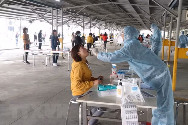 Vietnam reporta siete casos nuevos de COVID-19 ảnh 1