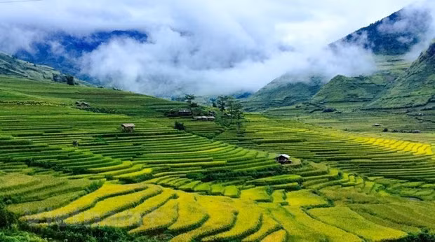 Hermosos lugares por descubrir en Mu Cang Chai de Vietnam ảnh 1