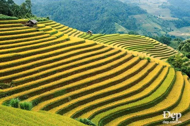 Hermosos lugares por descubrir en Mu Cang Chai de Vietnam ảnh 4