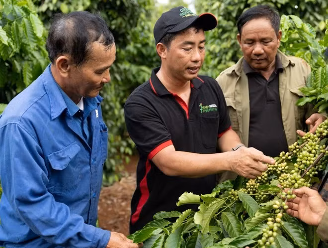Indicadores de crecimiento económico de Vietnam serán más positivos en 2024 ảnh 3