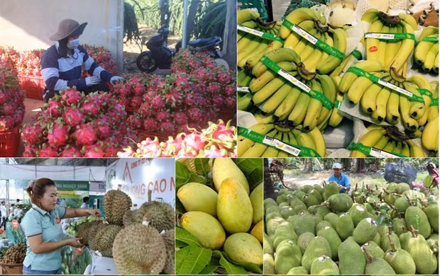 Reportan reducción de ventas de productos agroforestales y acuícolas de Vietnam ảnh 1
