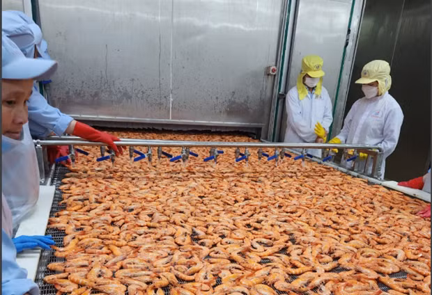 Reajusta banco UOB previsión de crecimiento de Vietnam para 2023 ảnh 1