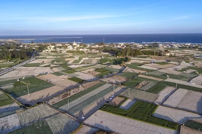 Desarrollo de urbe verde tiene gran espacio en Vietnam ảnh 3