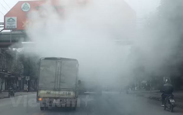 Vietnam se esfuerza por proteger la capa de ozono ảnh 2