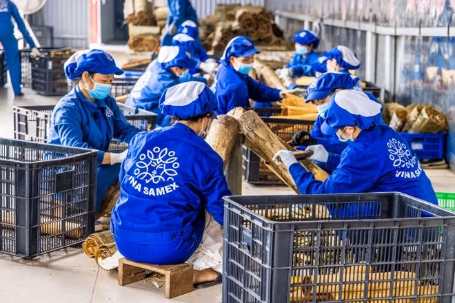 Indicadores de crecimiento económico de Vietnam serán más positivos en 2024 ảnh 2