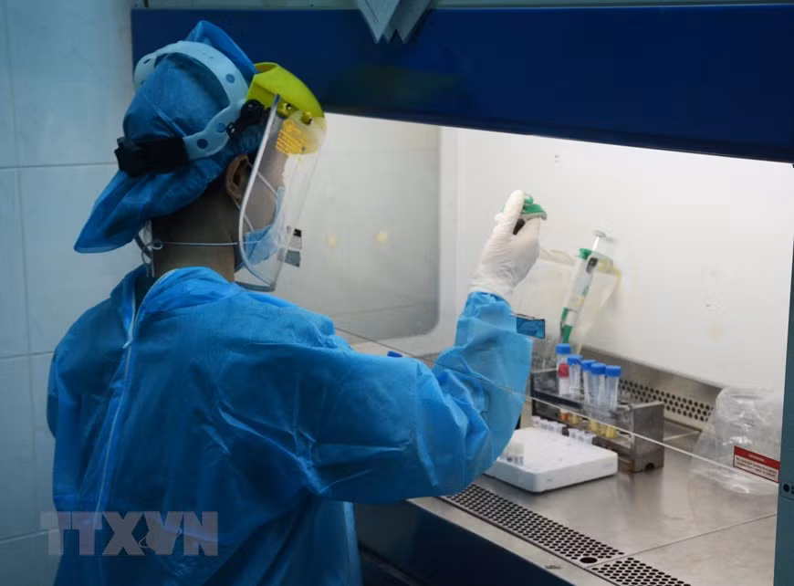 Aprueban la Estrategia para el desarrollo de la ciencia, tecnología e innovación hasta 2030 ảnh 9