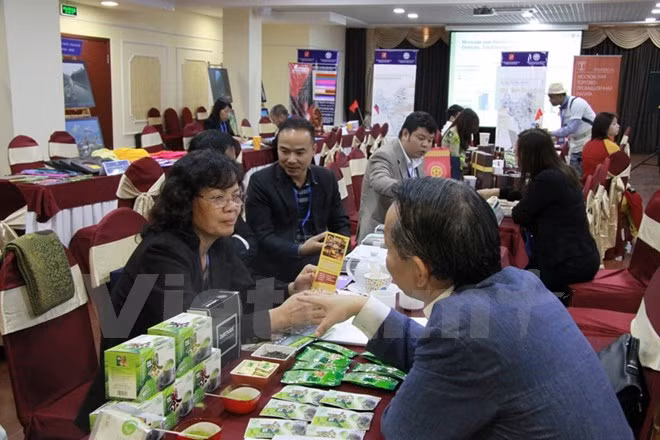  Hanoi busca promover cooperación con Moscú ảnh 1