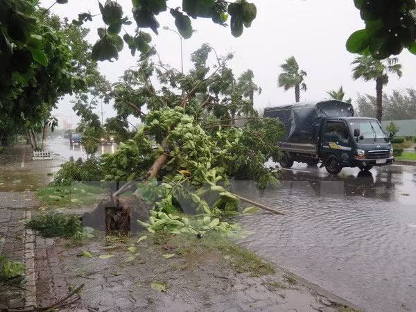 Suman cuatro muertos por continuas lluvias en Nghe An ảnh 1