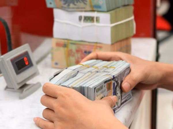  BEV: Reajuste de tasas de interés prevendrá dolarización ảnh 1