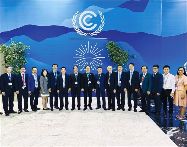 Hábil respuesta contra cambio climático en Vietnam ảnh 3