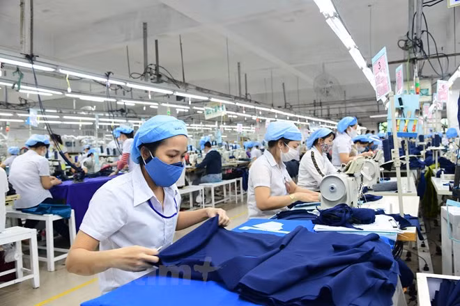 Provincia vietnamita promueve crecimiento crediticio por desarrollo socioeconómico ảnh 1 Provincia vietnamita promueve crecimiento crediticio por desarrollo socioeconómico ảnh 1