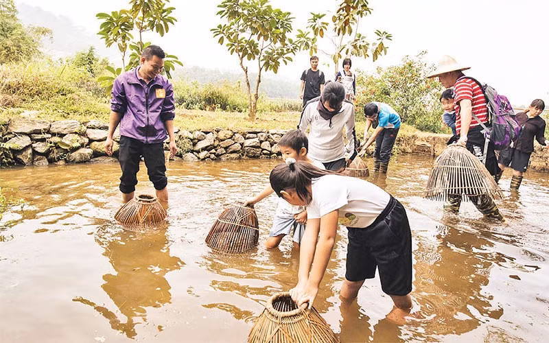 Hanoi por promover turismo agrícola y rural ảnh 1