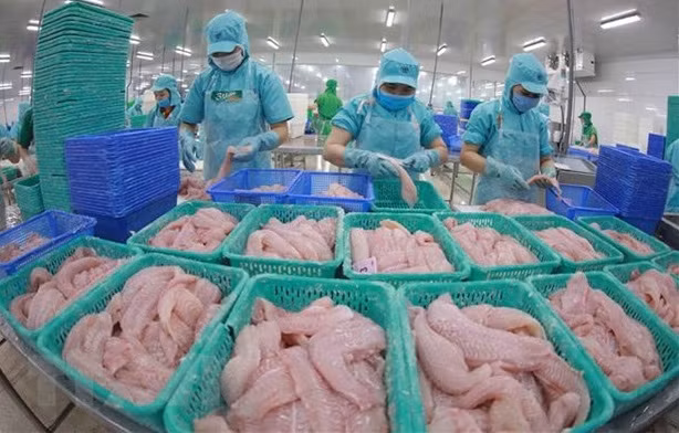 Estados Unidos publica conclusión preliminar sobre impuesto antidumping para pangasius vietnamita ảnh 1