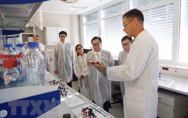 Vietnam y Austria promueven cooperación en ciencias aplicadas ảnh 1