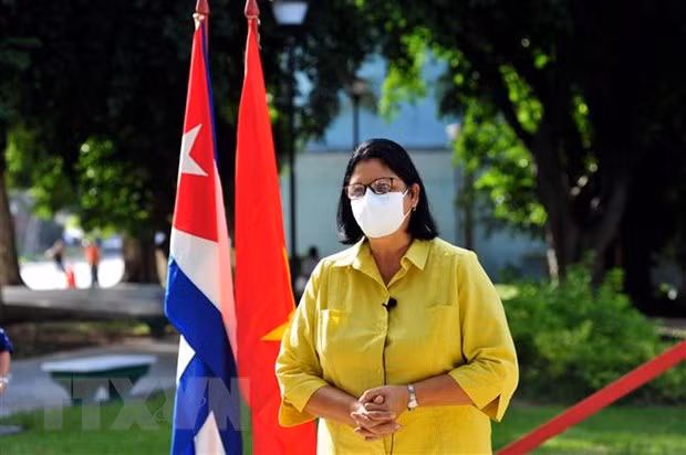 Rinden homenaje al Presidente Ho Chi Minh en su Monumento en La Habana ảnh 2