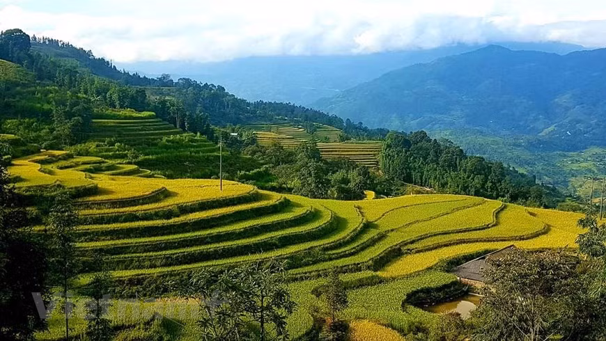 Vietnam se empeña en garantizar seguridad en turismo pos-COVID-19 ảnh 1