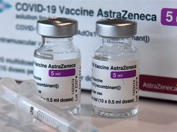 Alemania donará 2,5 millones de dosis de vacuna AstraZeneca a Vietnam ảnh 1